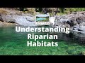 Riparian Habitat Assessment Concepts