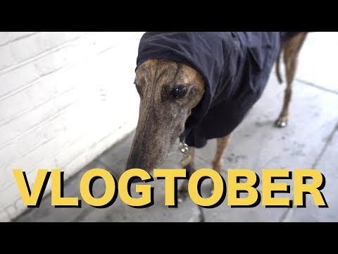 WORKING FROM HOME | VLOGTOBER 18