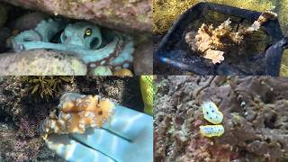 動画サムネイル
