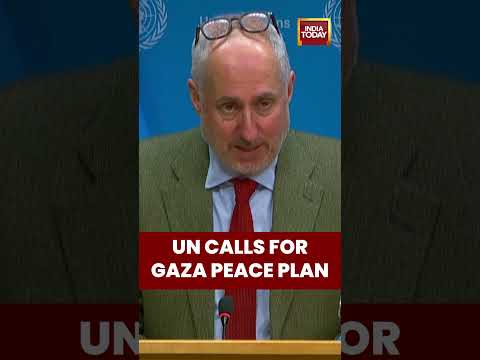 UN Urges Gaza Peace Path | Credible Political Solution Needed, Says UN