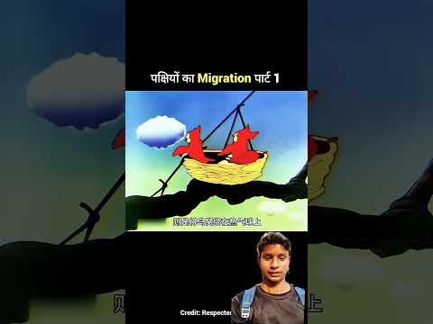 ट्रेंडिंग वीडियो शर्ट #cartoon #funny #comedy #animation #facts #hindishorts #birds