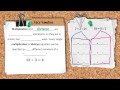 Mastering Multiplication and Division Concepts
