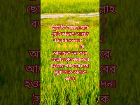 তুমি কি জানো, ছোট ছোট কাজেও আল্লাহ বড় বরকত দেন❓ #hope #dua #faith #islamicshorts #shortvideo #ইসলাম