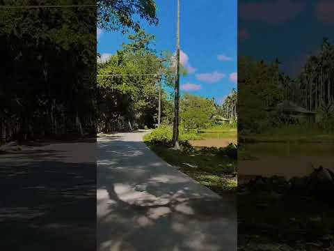 #nature #highlights #viralvideo #love #youtubeshorts #jaishreeram