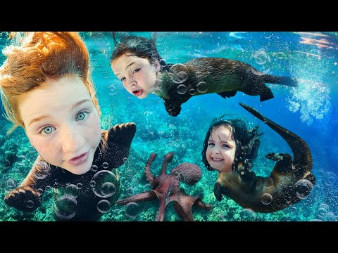 SURROUNDED BY WHALES!! Otter Family after Finding underwater animals in Hawaii with Adley Niko Navey