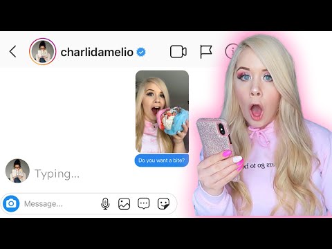 I SENT A DM TO 100 FAMOUS TIKTOKERS *they actually replied*