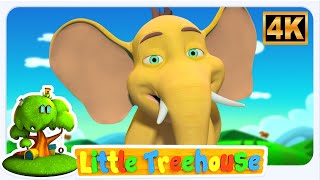 Little Treehouse Mutlu Fil Şarkısı | Çocuklar İçin Şarkılar