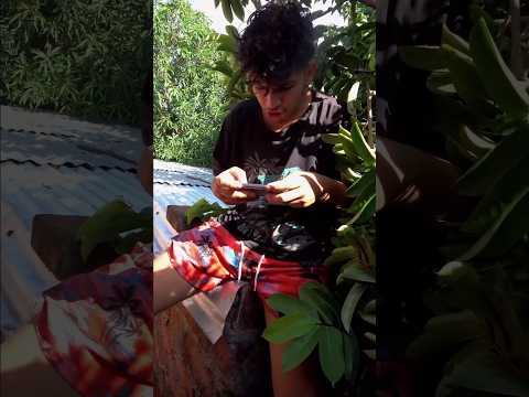 jugando free fire en escuadra #humor #subscribe #comedia #shorts