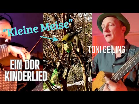"Kleine Meise" - ein DDR Kinderlied, interpretiert von Toni Geiling. #kinderlieder #meise #winter