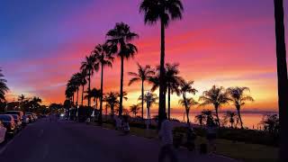 In the streets of Miami #automobile #miami #beach #vacation #vlog 