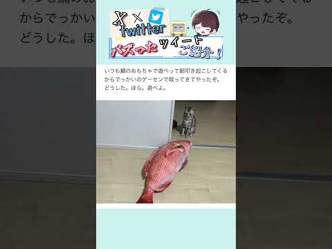 【ダニィ!?】Xでバズったツイートが面白すぎるw Part 74 #アフレコ#twitter #だいちゃんねる