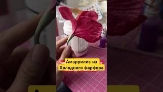 #холодныйфарфор #цветы #цветы