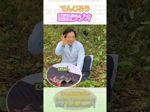 ↑本編はリンクから↑塹壕ラジオ#Shorts #でんじろう先生 #実験 #science #はぴエネ #科学