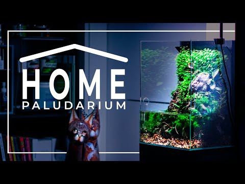 Home PALUDARIUM | Relaxing Build Video Watch Marci Horváth building a paludarium at his home. This guy's passion for the hobby is somethin