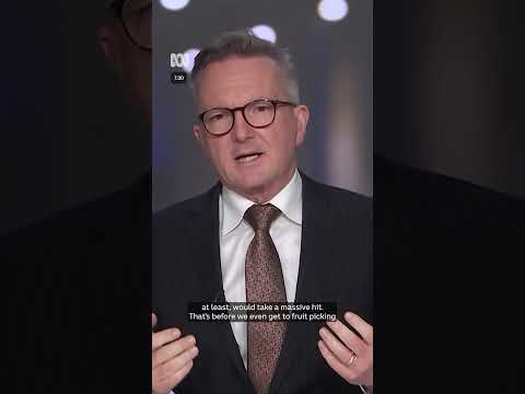 One Nation's immigration maths isn't mathing for Chris Bowen | 7.30