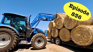 The Great Hay Migration Begins!