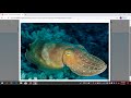 Inspire Science Handbook and Resources