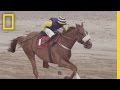 Challenges and Insights for Jockeys