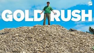 An oyster revolution is happening in NYC