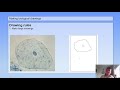 Biological Drawing Techniques and Principles