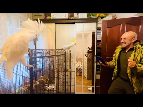 Вы ТАКОГО НЕ ВИДЕЛИ! Жорик и Кира энергично танцуют под ритмическую музыку!