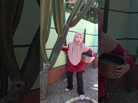 Ternyata anak baik !!