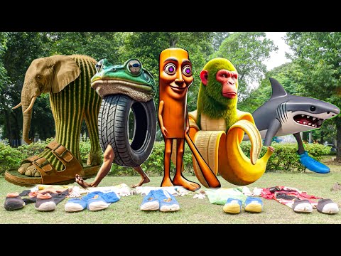 DRAMA BADUT BOBOIBOY VS ANOMAI BRAINROTS INDONESIA !! MAINAN ANOMALI