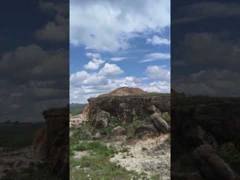 #Justice for jubeen garg ##