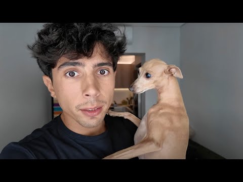 este vlog es una mi3rd4