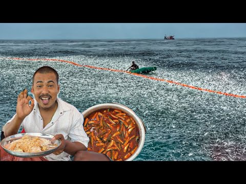Great 🤩Biggest catch ever | We caught Tons of sardines in Single catch | Lunch sardine fish curry 🤤