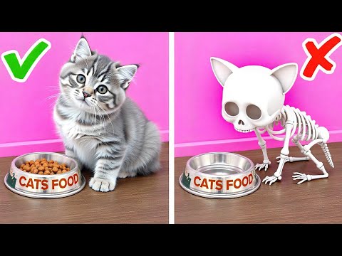 ¡Increíbles gadgets y trucos para tus mascotas! ✨🐾 DIY adorables y juguetes divertidos