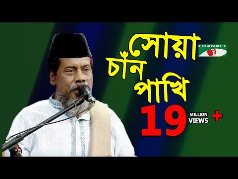 সোয়া চাঁন পাখি | Shua Chan Pakhi |  Bari Siddiqui | Channel i | IAV