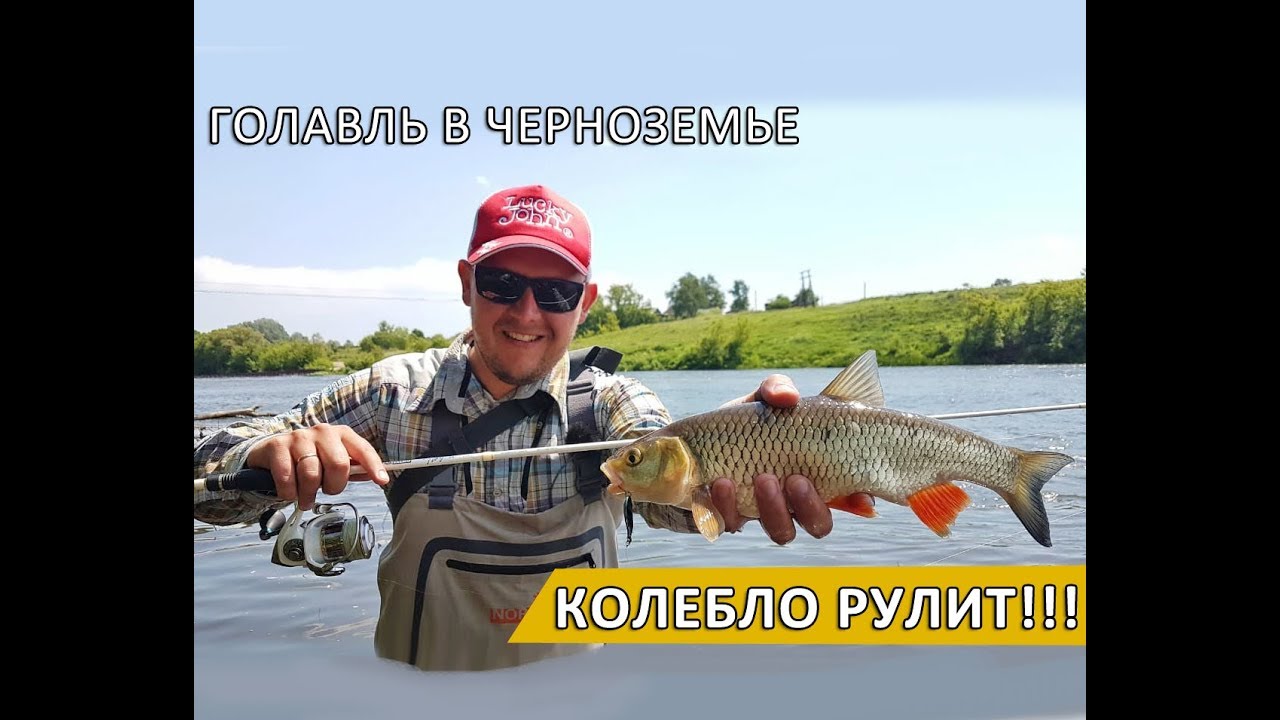Голавль в начале лета. Черноземье. Колебло рулит!