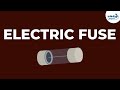 Electric Current and Circuit Safety