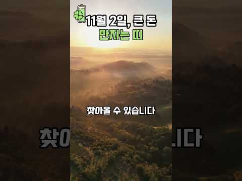 11월2일 큰 돈 만지는 띠 💰🍀 #<strong>띠별운세</strong> #풍수 #금전운