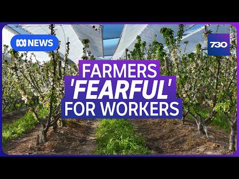 The new migration rules affecting skilled workers, backpackers and international students | 7.30