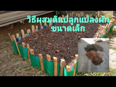 สูตรวิธีผสมดินปลูกลงแปลงผัก