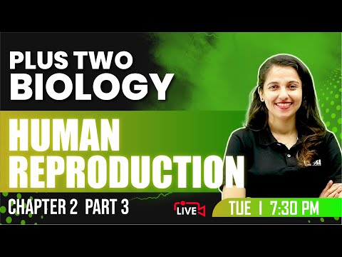 Plus Two Biology | Human Reproduction Part 3 | Chapter 2 | Exam Winner +2 | +2