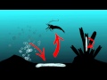 Exploring Chemosynthesis in Deep-Sea Organisms