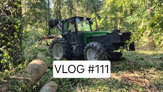 VLOG #111 Eschen an der Bahnlinie! Gefährliche Fällungen! 