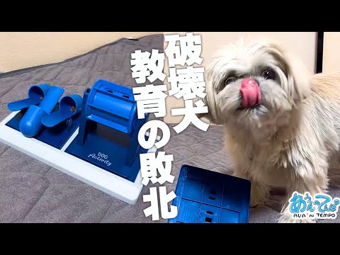 破壊犬〜教育の敗北〜