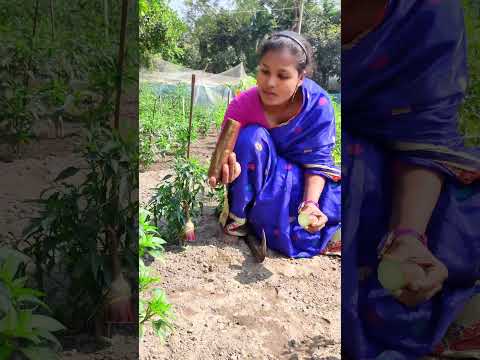 #reels #shortvideo #funny #viralvideo