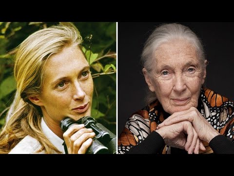 Jane Goodall, pioneering conservationist and chimpanzee expert, dies aged ninety-one