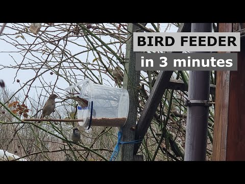 How to Make a Simple Bird Feeder DIY in Minutes // Part 2