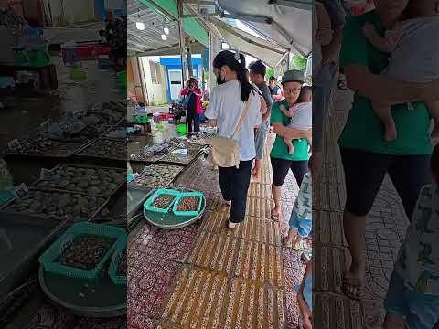 Đến Vũng Tàu thì đi đâu - Phần 1 | KAHIHA Family