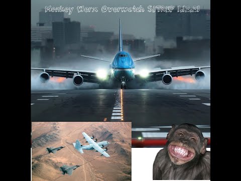 Monkey Werx Overwatch SITREP 1 12 21