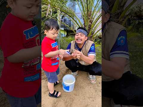 kasih makan kelomang sampe di gigit !