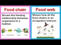 Food Chain and Trophic Levels