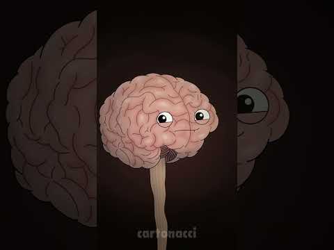 TI ALZI DI SCATTO D'ESTATE: