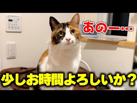 ベルちゃんからのお願い。